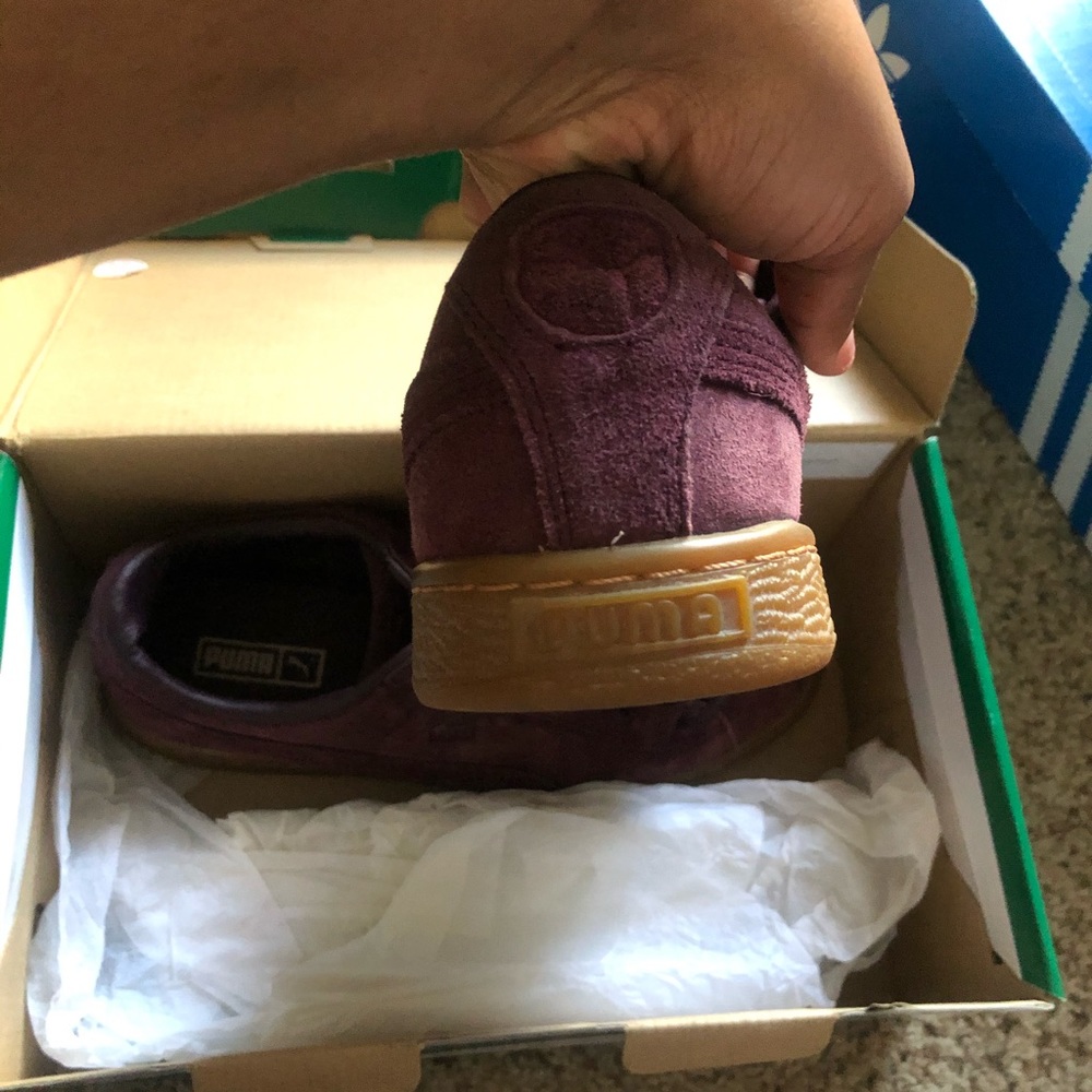 Pumas - Picture 3 of 4
